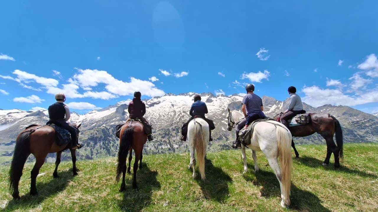En la cumbre de la digitalización