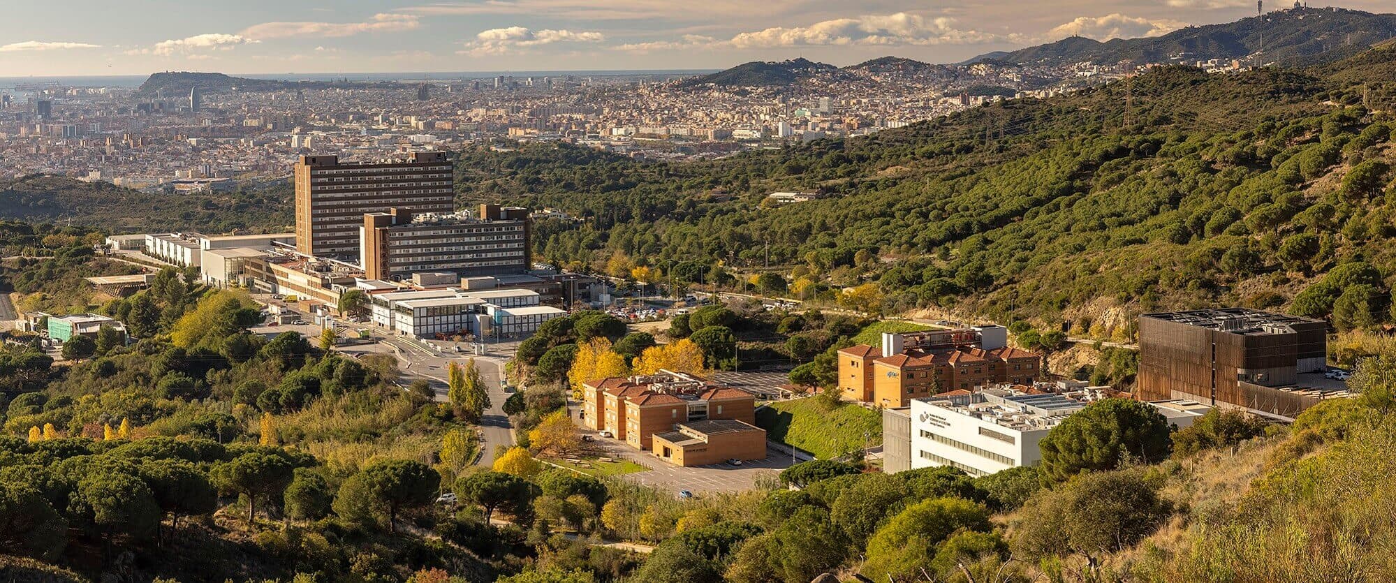 Gestió àgil de compres a IGTP