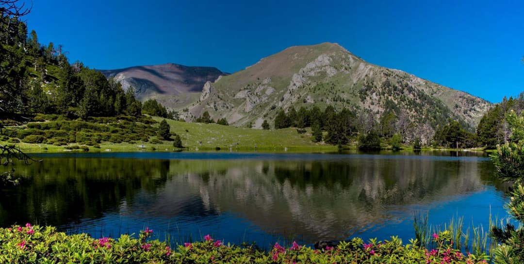 Com convertir visitants web en clients