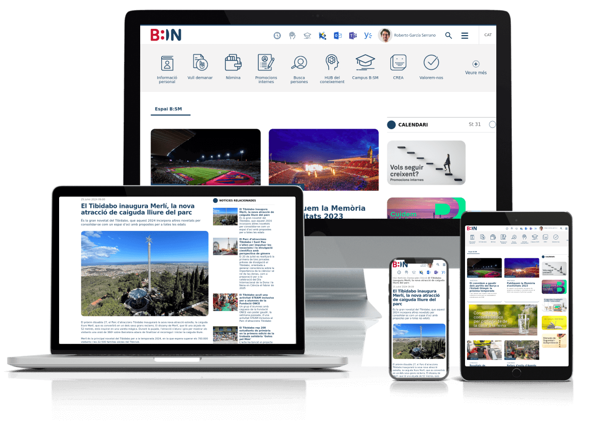 proyecto intranet bsm