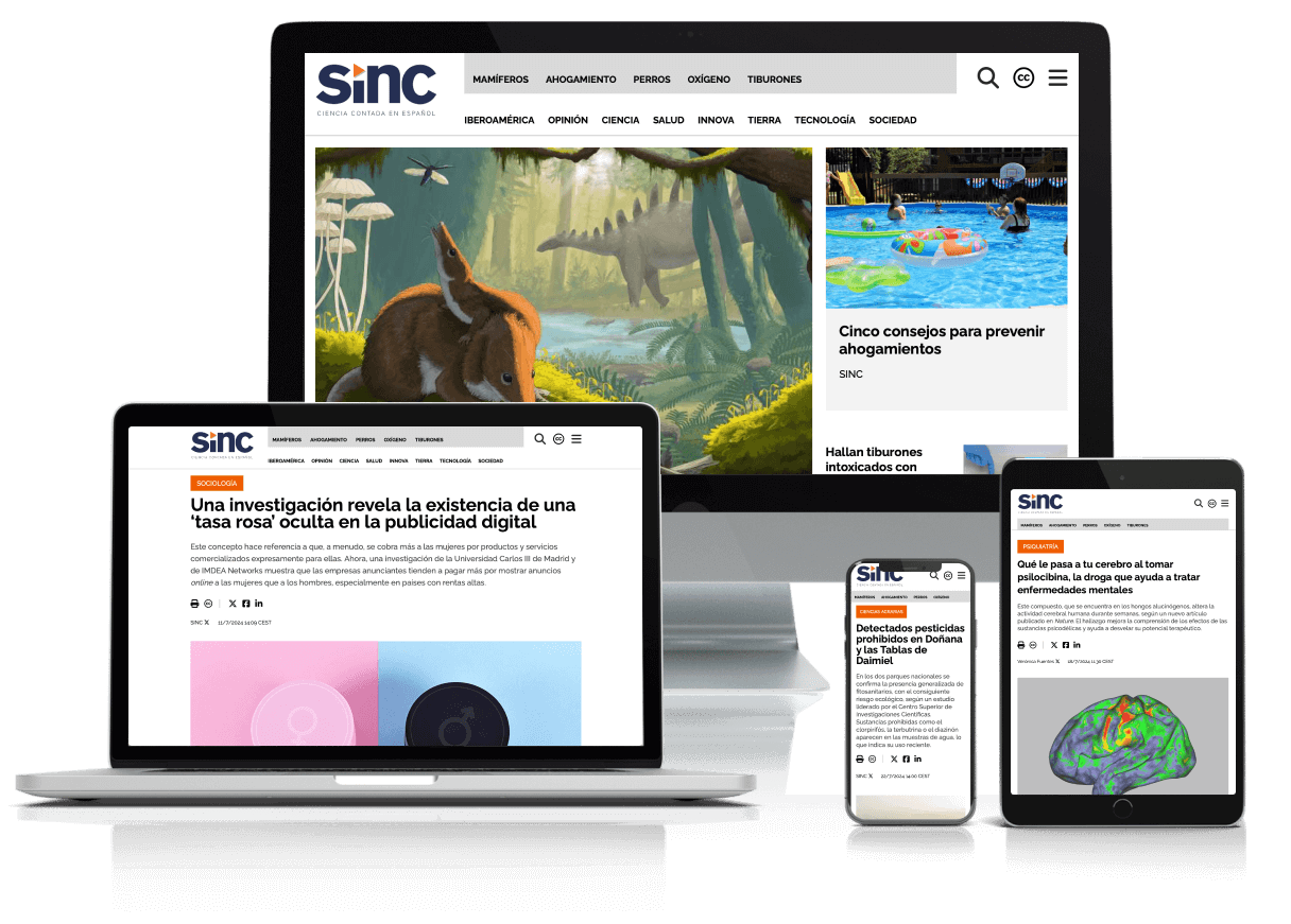 sync devices web desarollo contenidos noticias